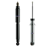 Shock absorber Advantage puts an emphasis on individual requirements